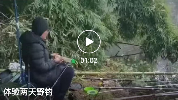两天的野钓体验