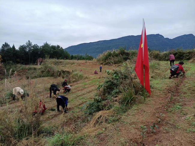 图片1.jpg 图片1.jpg