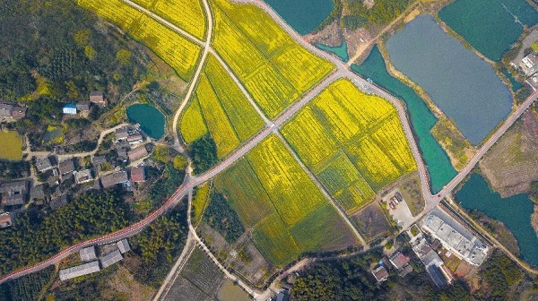 图片1.jpg 图片1.jpg
