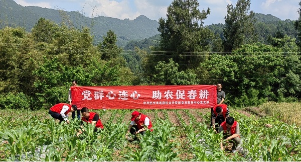 图片1.jpg