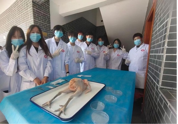 图片1.jpg