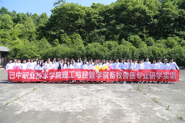 图片6.jpg