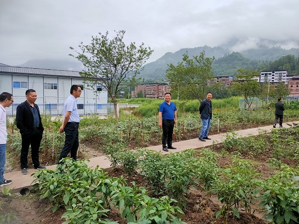 学生劳动实践基地4.jpg
