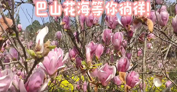QQ20250324-222456 - 副本.jpg