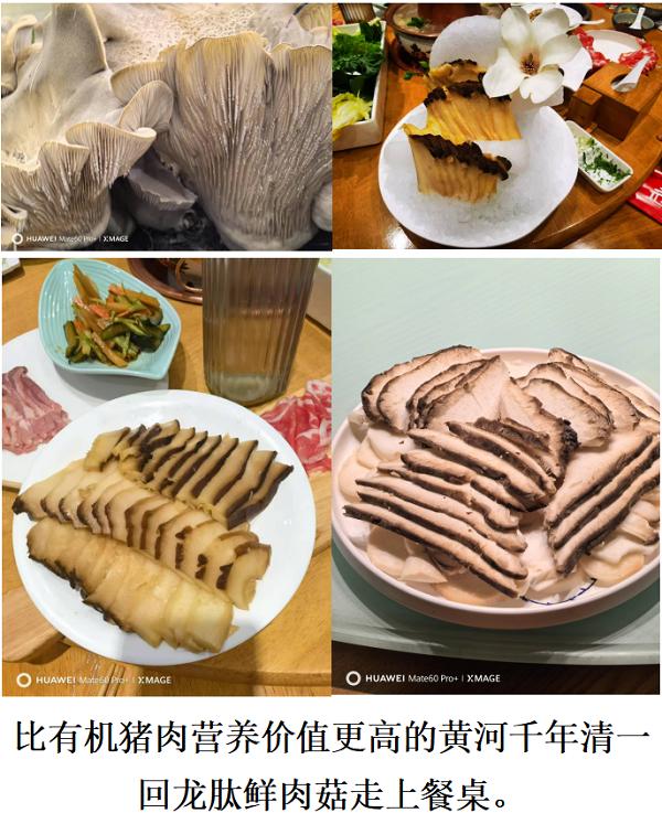 16(1)(1).jpg